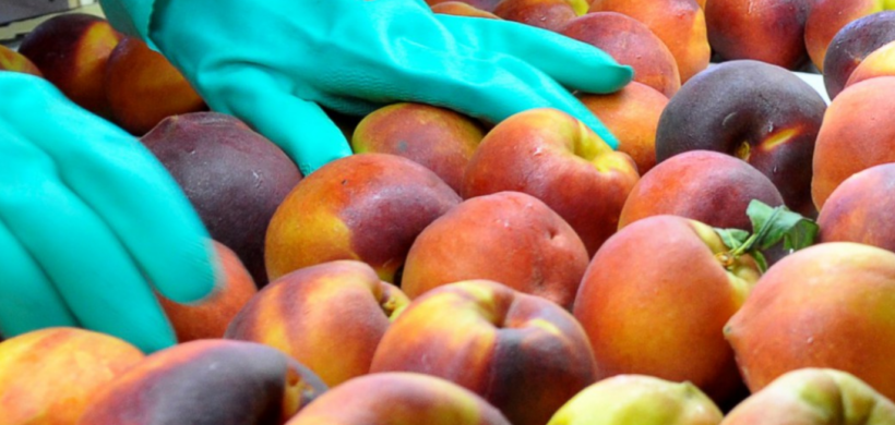 Una pyme mendocina elabora el primer snack frutal del país