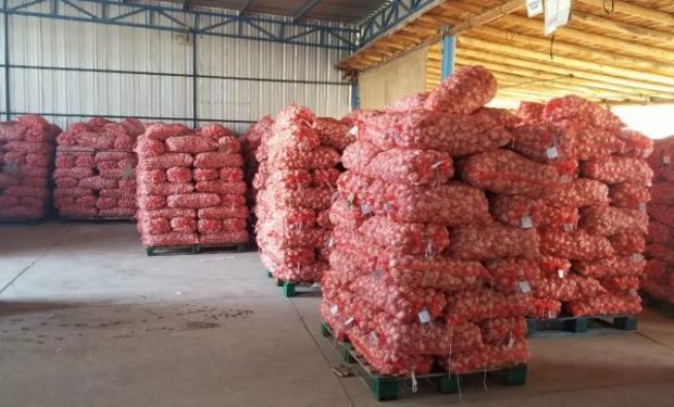 Mendoza exportará 5 contenedores de ajo a Taiwán