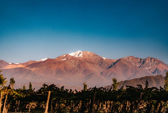 Las bodegas se preparan para Vinexpo Explorer Mendoza 2026 Las bodegas se preparan para Vinexpo Explorer Mendoza 2026