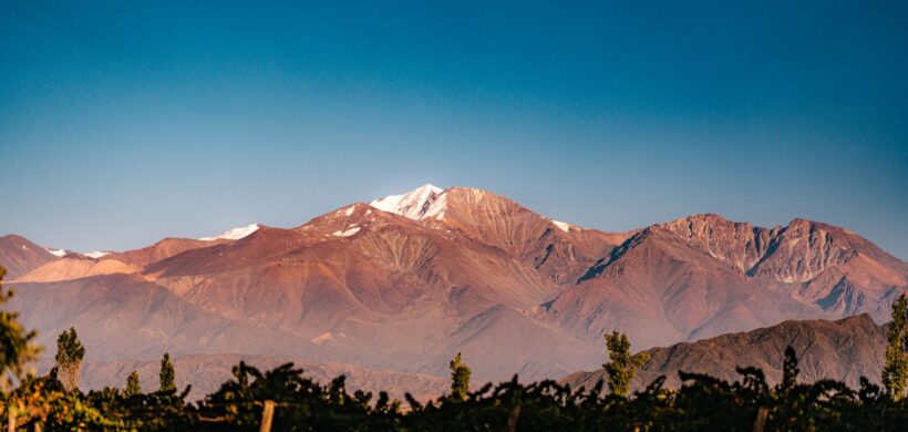Las bodegas se preparan para Vinexpo Explorer Mendoza 2026 Las bodegas se preparan para Vinexpo Explorer Mendoza 2026