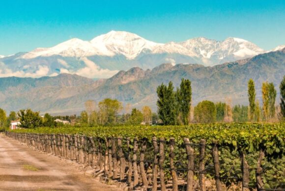 Mendoza será sede de Invest In LAC 2026, el foro que reunirá a líderes globales de inversión Mendoza será sede de Invest In LAC 2026, el foro que reunirá a líderes globales de inversión