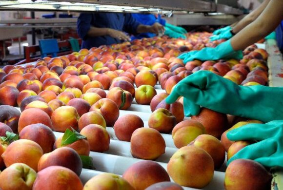 Abren las inscripciones para Mendoza Southern Food, la ronda de negocios que traerá compradores de alimentos y bebidas Abren las inscripciones para Mendoza Southern Food, la ronda de negocios que traerá compradores de alimentos y bebidas