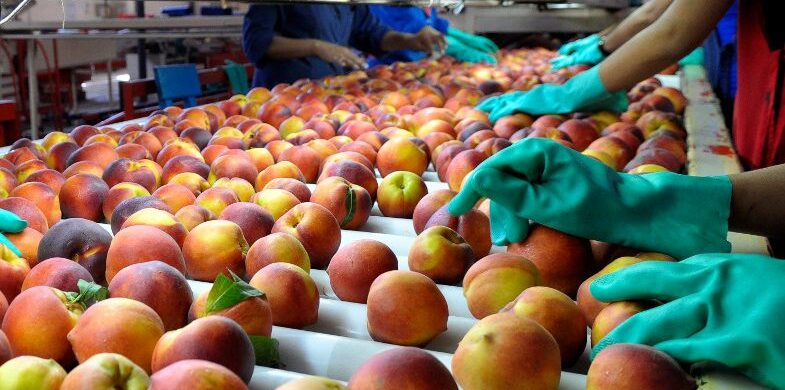 Abren las inscripciones para Mendoza Southern Food, la ronda de negocios que traerá compradores de alimentos y bebidas